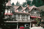NIKKO PENSION greem age inn